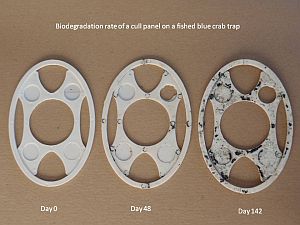 biodegradable panels - fished